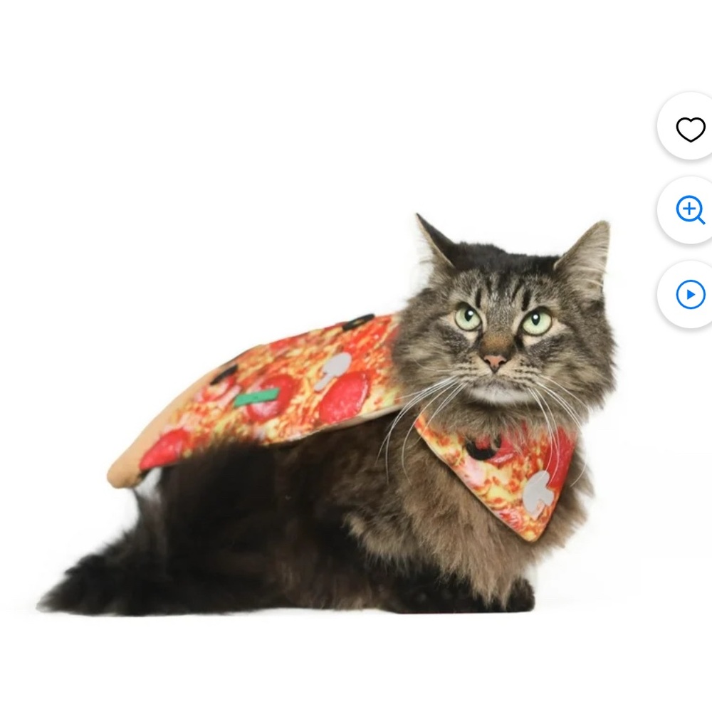 Pizza-Themed Cat Cape